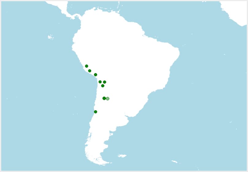 Distribución, dónde vive leopardus jacobita