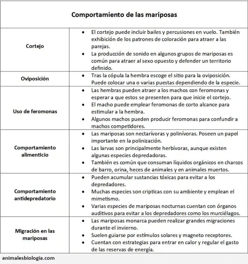 Ficha resumen sobre el comportamiento de las mariposas