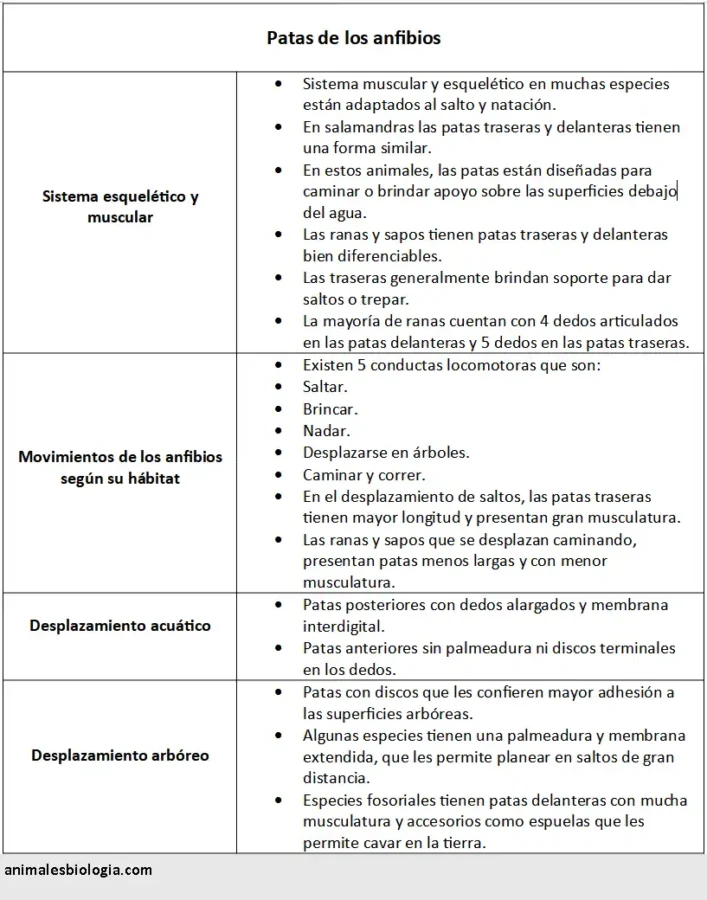 Ficha sobre las patas de los anfibios