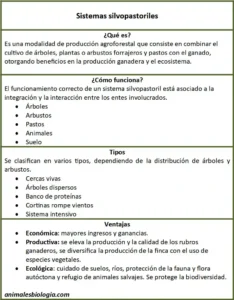 Sistemas silvopastoriles, qué son y tipos. Ventajas
