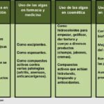 uso-de-las-algas