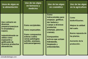 Uso de las algas, alimentación, cosmética, medicina y agricultura
