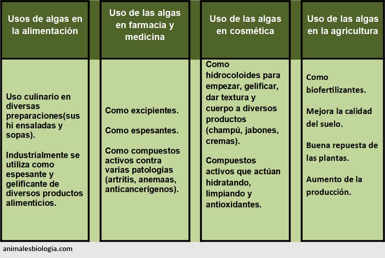 Uso de las algas