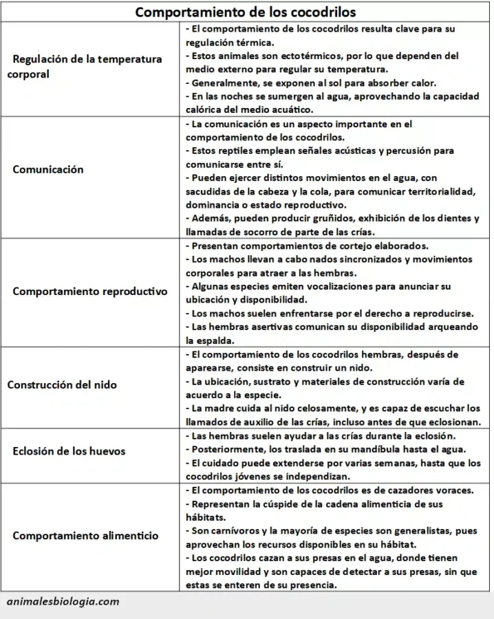 Comportamiento de los cocodrilos, características y adaptaciones