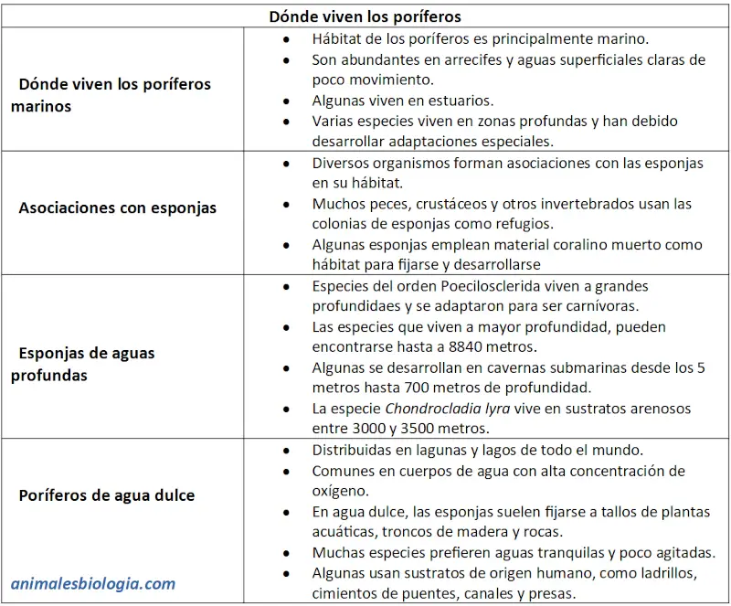 Ficha sobre dónde viven los poríferos