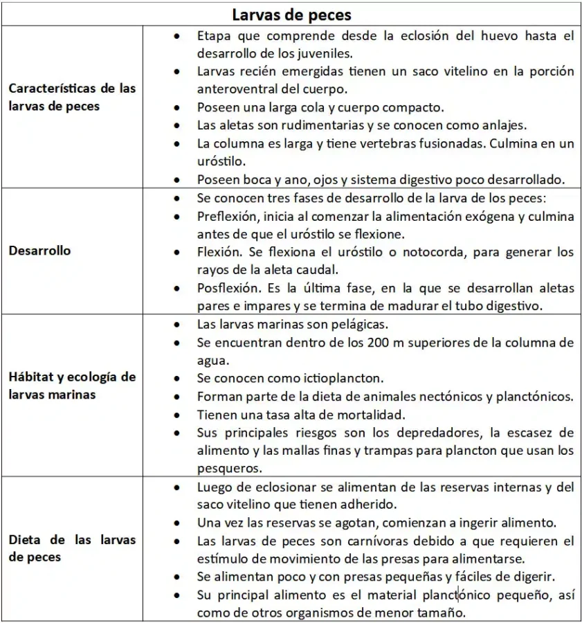 Características y desarrollo de las larvas de peces