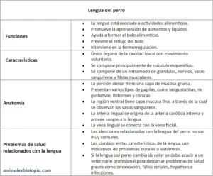 Lengua del perro, características y funciones