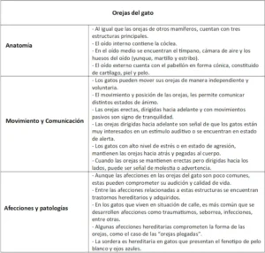 Orejas del gato, características, movimiento y comunicación