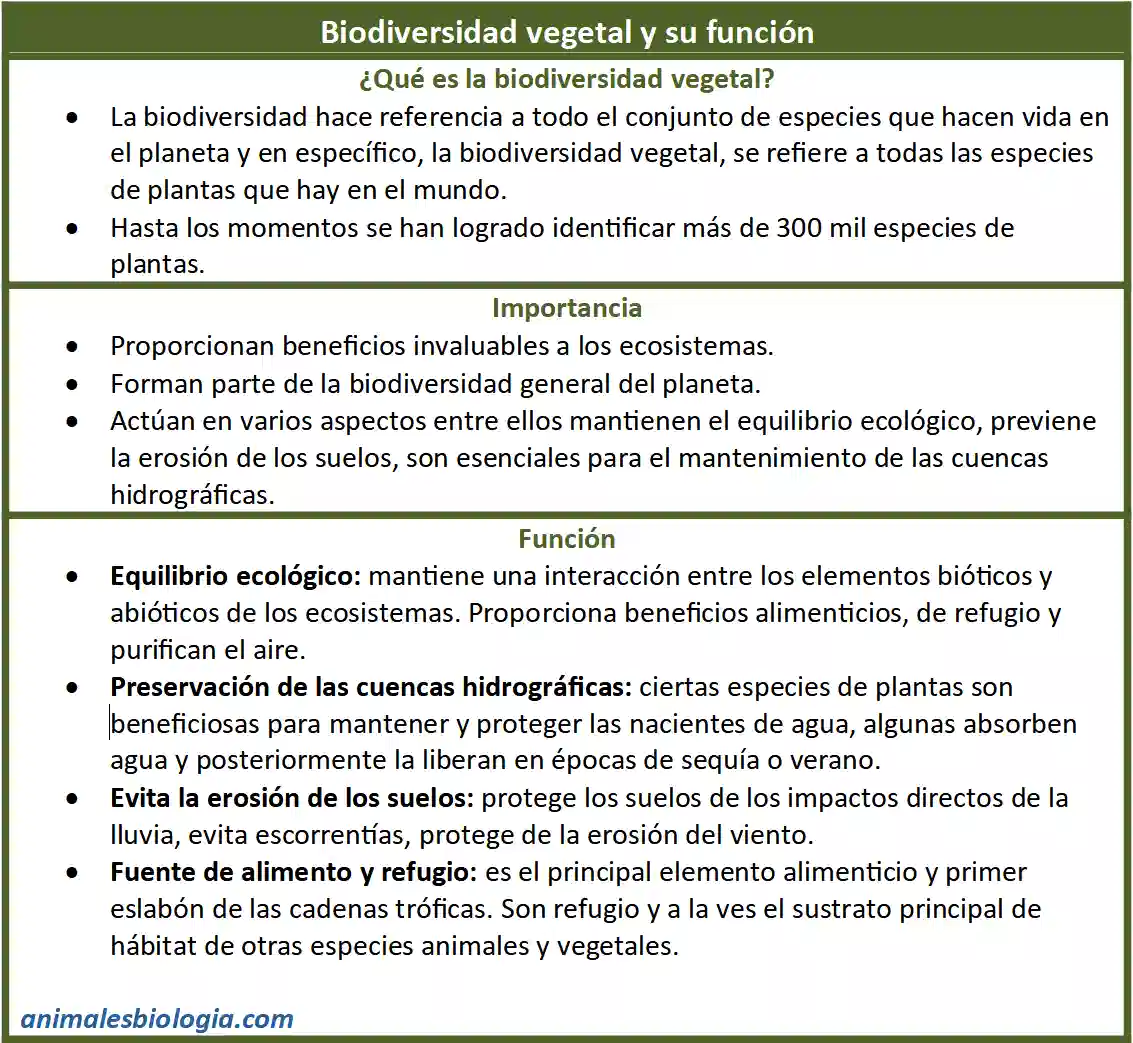Biodiversidad vegetal y su función