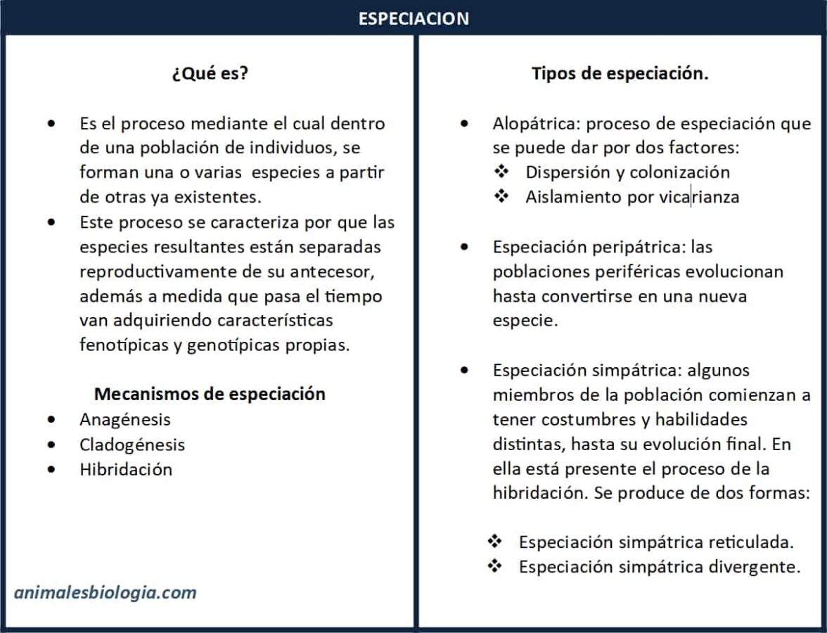 Especiación, concepto, tipos y mecanismos, cuadro resumen