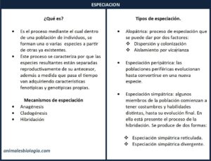 Especiación, concepto, tipos y mecanismos