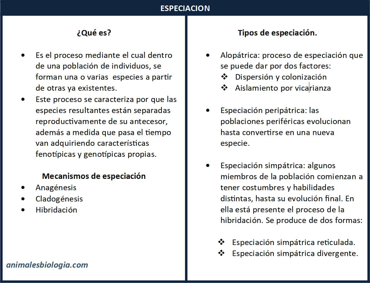 Especiación, concepto, tipos y mecanismos