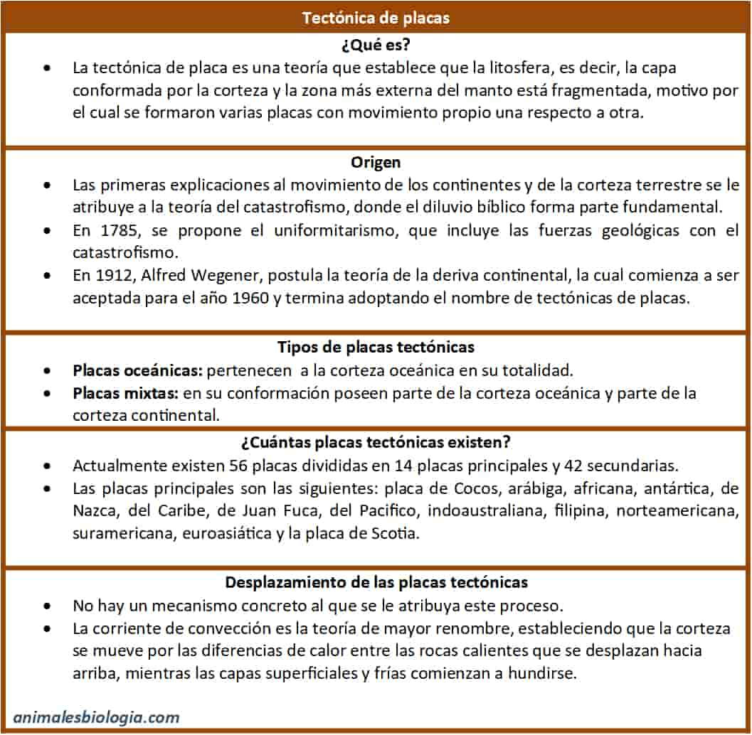 Resumen o esquema sobre tectónica de placas