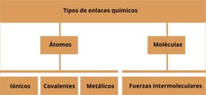 Tipos de enlaces, importancia biológica