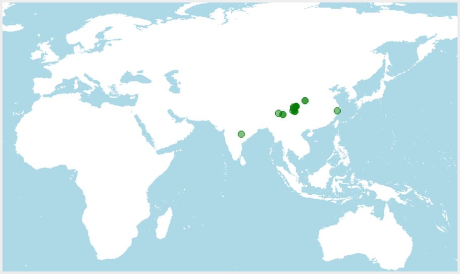 Distribución del taquín, Budorcas taxicolor