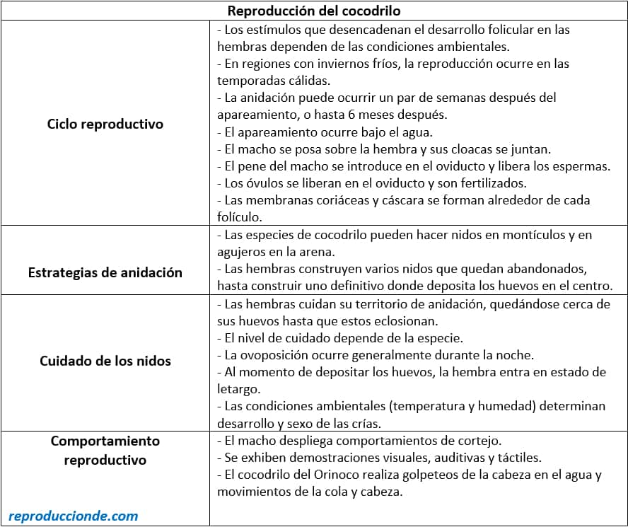 Resumen, esquema sobre la reproducción del cocodrilo.