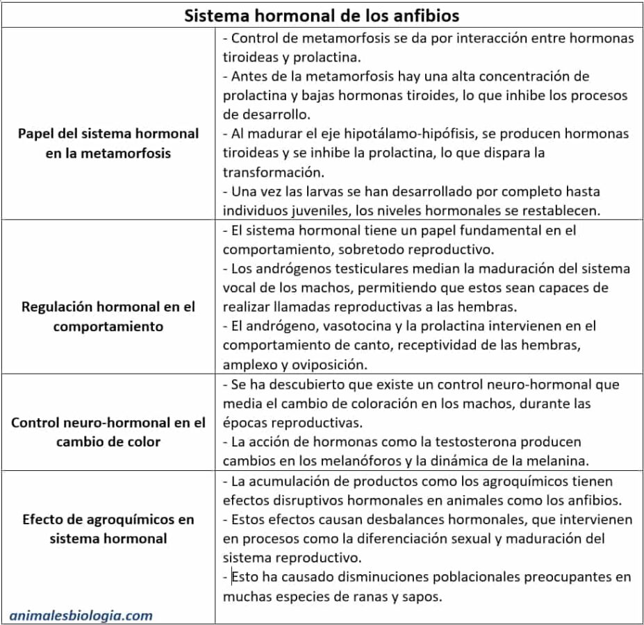 Estudio sobre el sistema hormonal de los anfibios