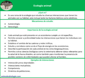 Ecología animal, qué es, ejemplos
