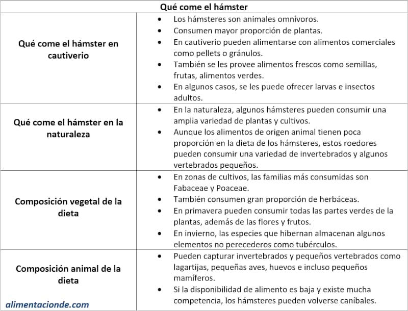 Ficha resumen sobre: Qué come el hámster