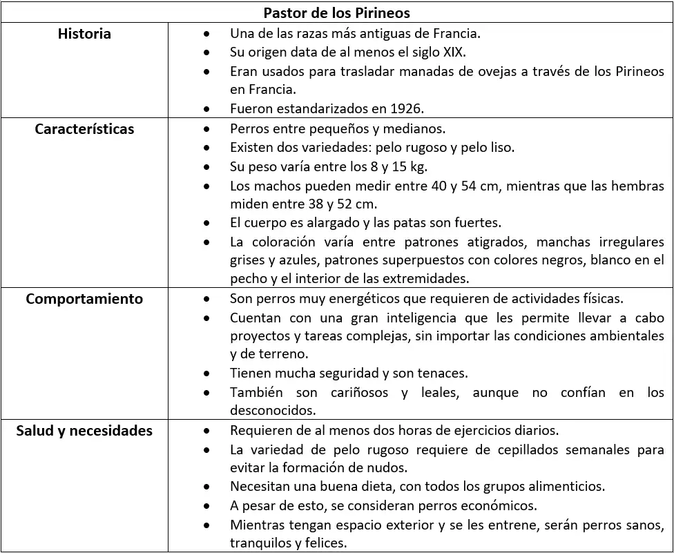 Ficha pastor de los Pirineos