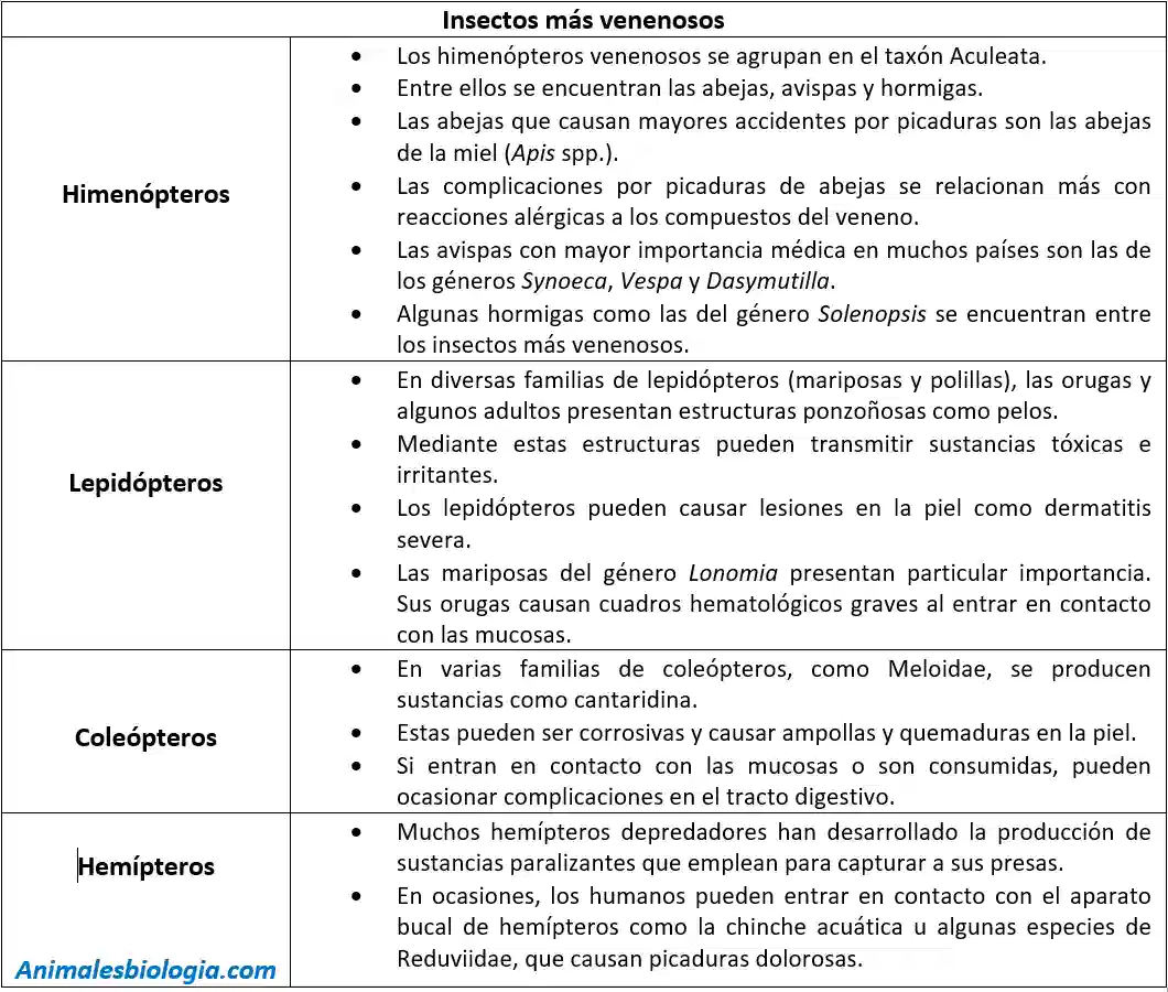 Ficha sobre los insectos más venenosos