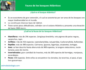 Fauna de los bosques Atlánticos