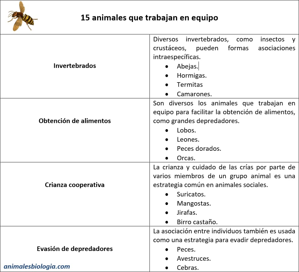 Ficha de animales que trabajan en equipo