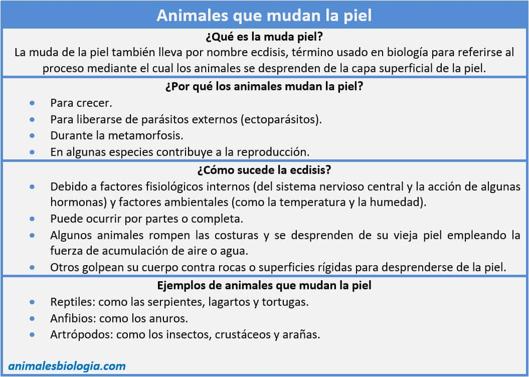 Resumen sobre animales que mudan la piel