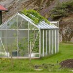 Invernaderos de plantas invernaderos-de-plantas