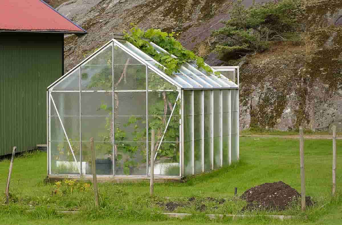 Invernaderos de plantas