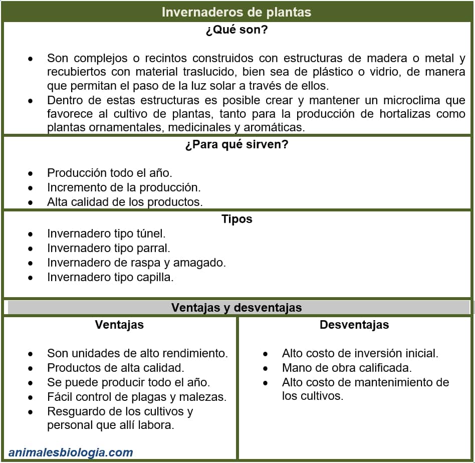 Cuadro resumen sobre los invernaderos de plantas