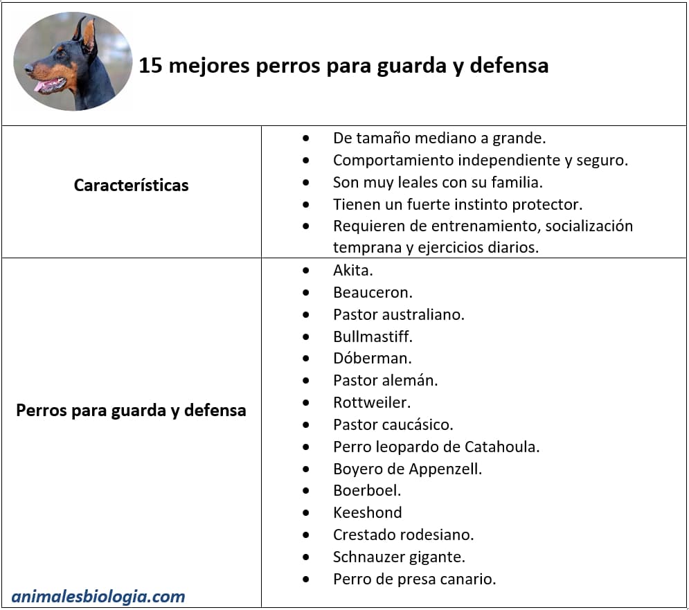 Ficha descriptiva sobre los mejores perros para guarda y defensa