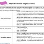 Reproducción de los procariontes (células procariotas) reproduccion-de-los-procariontes-o-celulas-procariotas