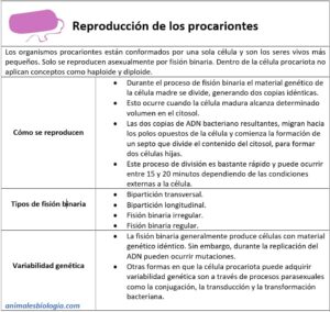 Reproducción de los procariontes (células procariotas)