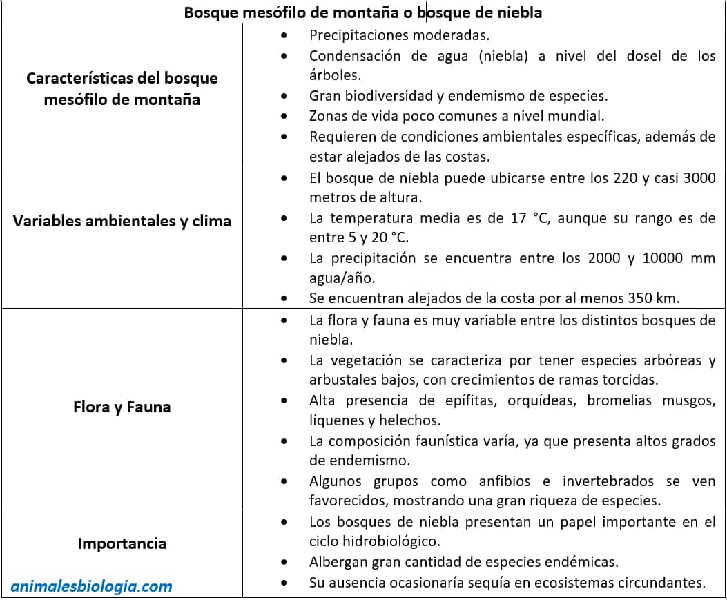 Resumen, esquema sobre bosque mesófilo de montaña o bosque de niebla