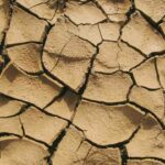 Sequía, causas y consecuencias sequia-causas-consecuencias