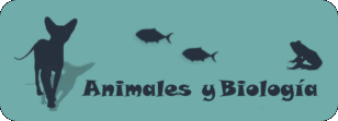 Animales y biología