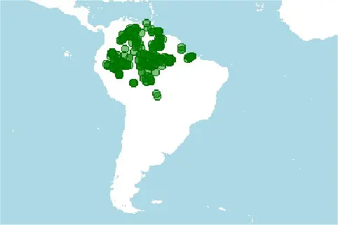 Distribución geográfica de Hyphessobrycon bentosi