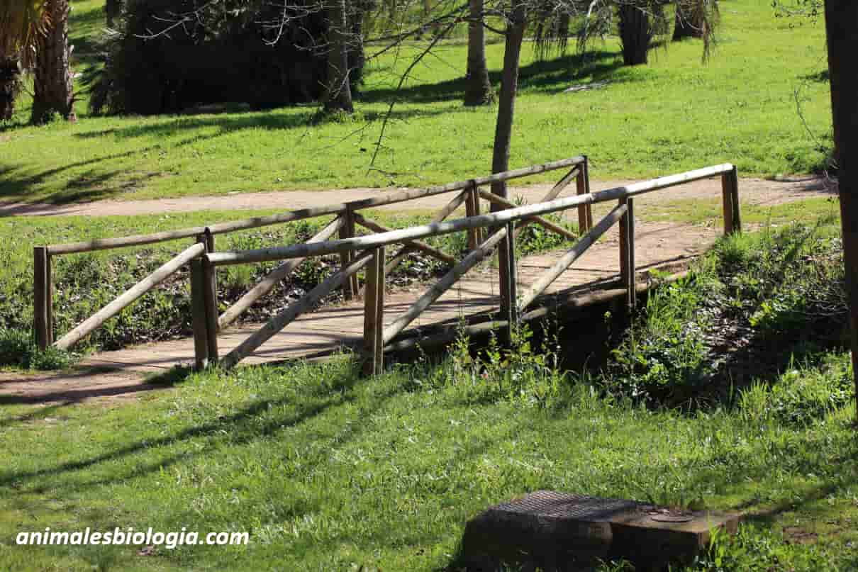 Naturaleza y medio ambiente