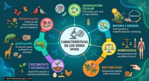 Características de los seres vivos: Definición y propiedades